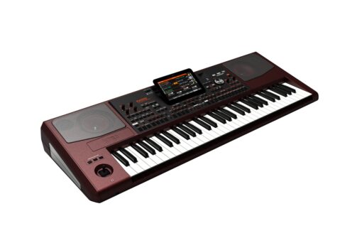 KORG Profesional Arranger Keyboard Series