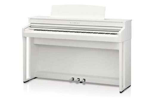 Kawai CA501