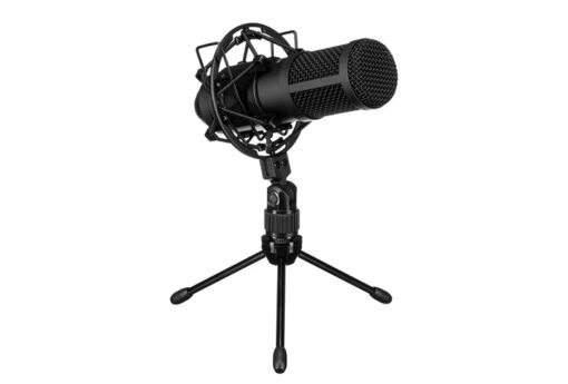 Tascam TM-70 Dynamic Mic For Podcasting