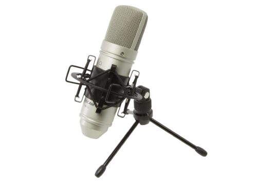 Tascam TM-80 Condenser Microphone